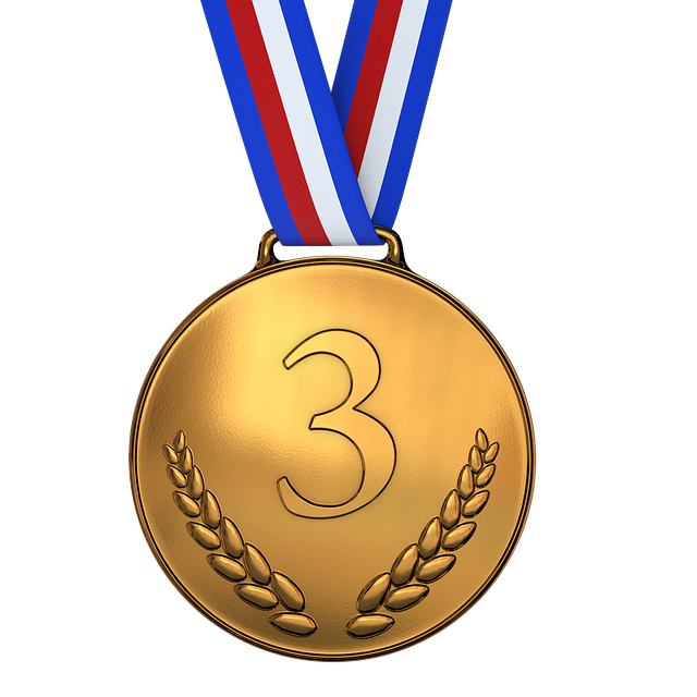 Championnats de France : Médailles de bronze