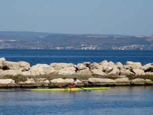DSC03759
